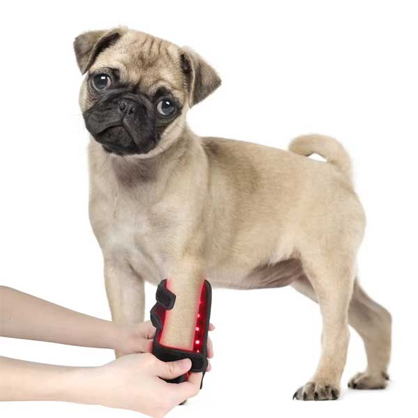 medical grade red light therapy device for animals_3