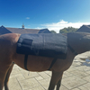 Equine Red Light Therapy Mat For Horse Back