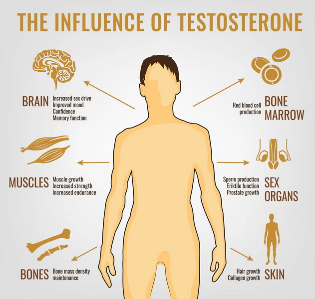best red light therapy device for testosterone_1