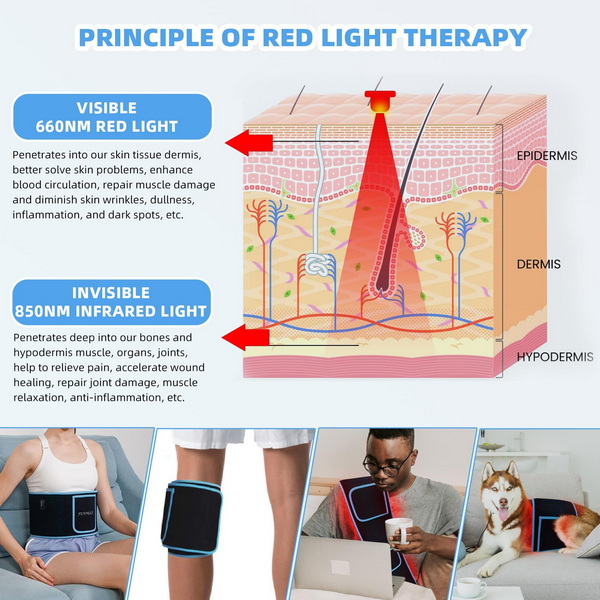 at home fat burning red light therapy device_2.jpg