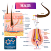 Red Light Therapy Hair Regrowth Cap