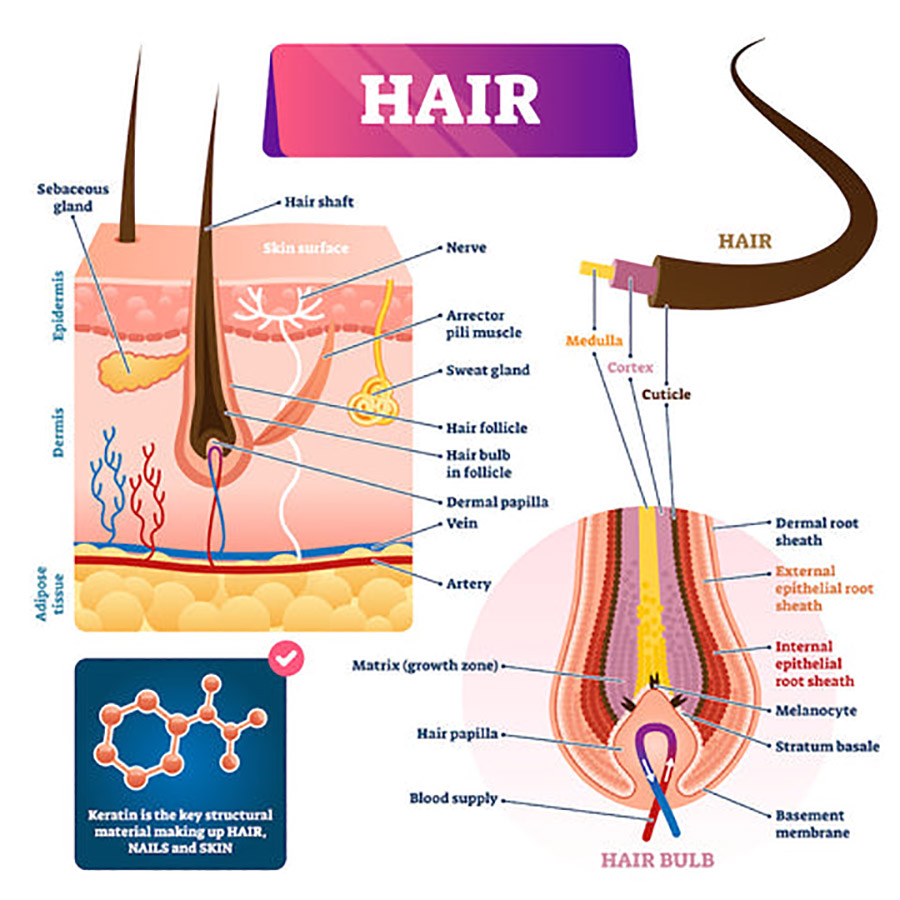 Red Light Therapy Hair Regrowth Cap