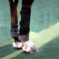 //ikrorwxhjpnrlq5p.ldycdn.com/cloud/lkBprKrjlpSRklmjpipjkq/T480-K2-horse-red-light-therapy-leg-wrap-peitu14.jpg