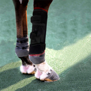 T480 K2- horse red light therapy leg wrap-配图14.jpg