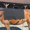 Equine Red Light Therapy Mat For Horse Back