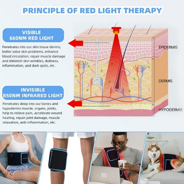 hip red light therapy device_3.jpg