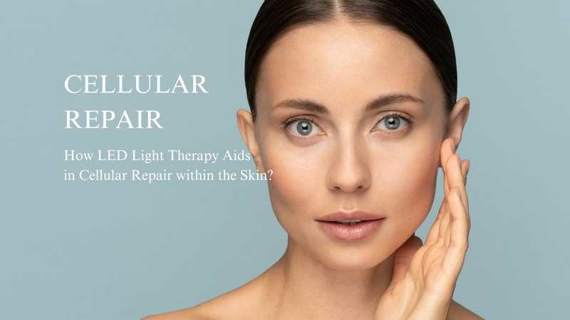 dr dennis gross led light mask_2