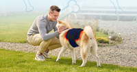 //ikrorwxhjpnrlq5p.ldycdn.com/cloud/llBprKrjlpSRklpomomkkp/Canine-Red-Light-Therapy.png