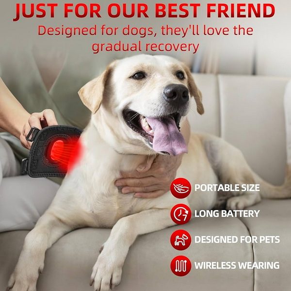 best red light therapy device for dog cruciate ligament_3