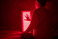 //ikrorwxhjpnrlq5p.ldycdn.com/cloud/lmBprKrjlpSRjlkrijirkl/Top-10-Red-Light-Therapy-Panel-Manufacturers-in-South-Korea.jpg