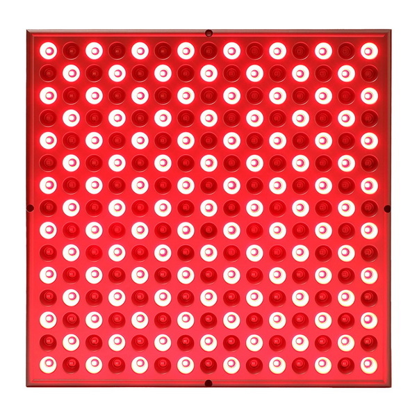 the best red light therapy device_1