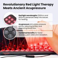//ikrorwxhjpnrlq5p.ldycdn.com/cloud/loBprKrjlpSRilippkqpkq/How-to-Choose-a-Red-Light-Therapy-Panel-for-Muscle-Recovery.jpg