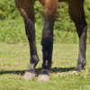 Equine Red Light Therapy Wrap For Horse leg