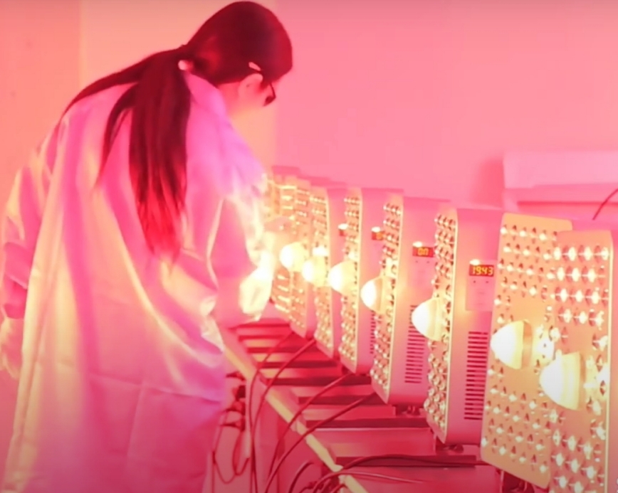 5-6. red light therapy panel manufacturer