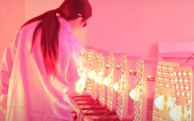Produttore di pannelli di terapia con luce rossa