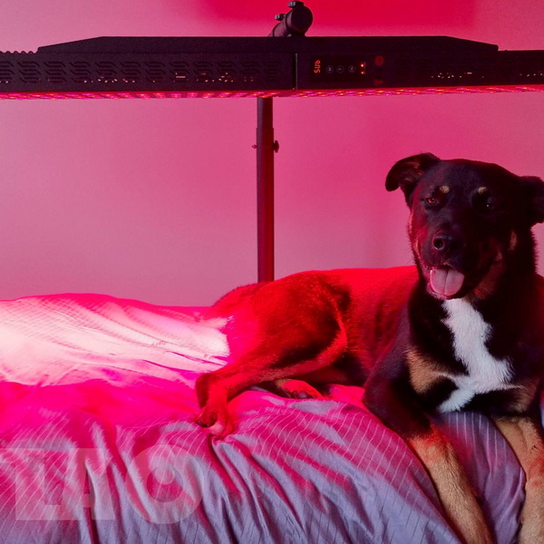 Red Light Therapy Blanket Suppliers_04