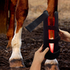 Equine Red Light Therapy Wrap For Horse leg