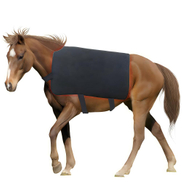 T500-horse red light therapy mat-配图2.jpg