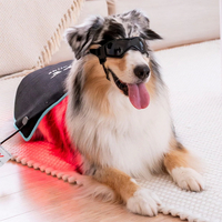 //ikrorwxhjpnrlq5p.ldycdn.com/cloud/lrBprKrjlpSRklmmkqokkp/Top-10-Red-Light-Therapy-For-Dog-Manufacturers-In-China.jpg