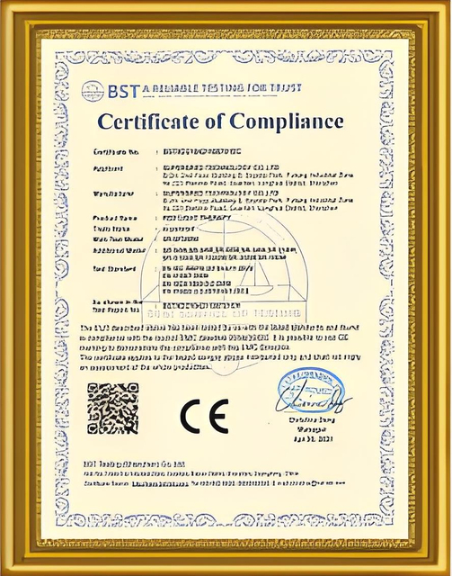 OUR CERTIFICATE