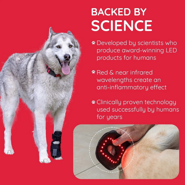 red light therapy device for dogs_1