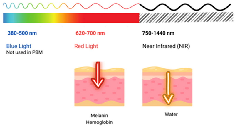 660nm led red light therapy device_1_1